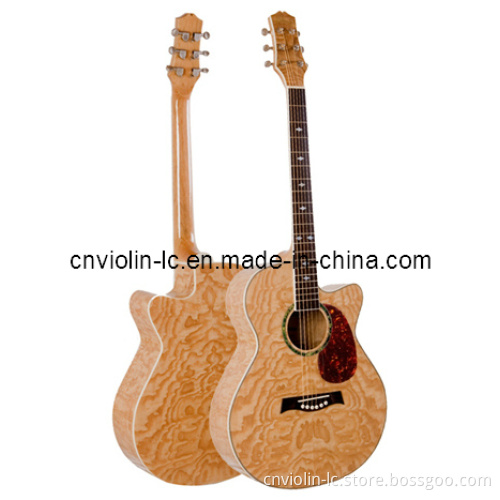 Acoustic Guitar (HFG448C-40)